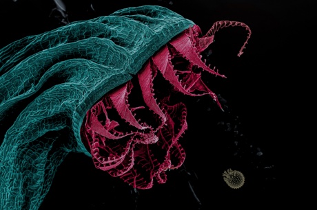 2025-12-03_Anglermoss 2025-12-03_Anglermoss