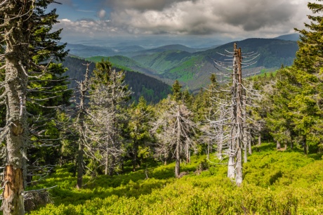 2022-05-26_Jeseniky_Radim Hedl_Petr Szabo_web-15 2022-05-26_Jeseniky_Radim Hedl_Petr Szabo_web-15