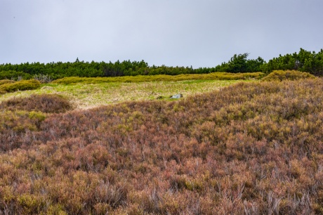 2022-05-26_Jeseniky_Radim Hedl_Petr Szabo_web-49 2022-05-26_Jeseniky_Radim Hedl_Petr Szabo_web-49