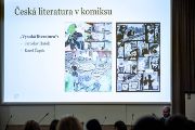 Adaptace literárních děl tvořily ve 20. století nikoli nepodstatnou součást domácí komiksové produkce. 