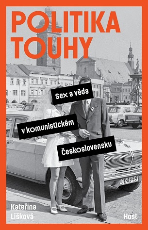 Obálka knihy Politika touhy