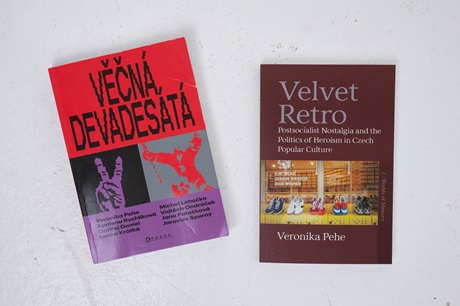 Veronika Pehe's publications.