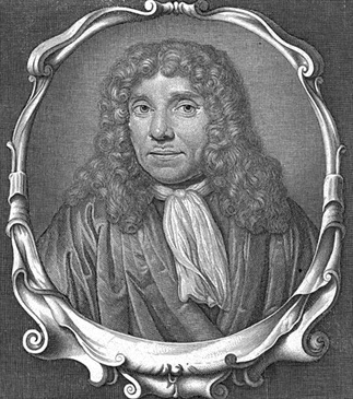 Antoni van Leeuwenhoek Antoni van Leeuwenhoek
