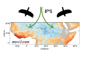 Nová mapa izotopů síry pro severní část subsaharské Afriky.