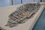 Pozůstatky lodi nalezené v Mainzu 