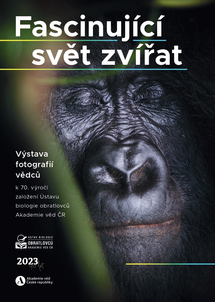 Fascinující svět zvířat